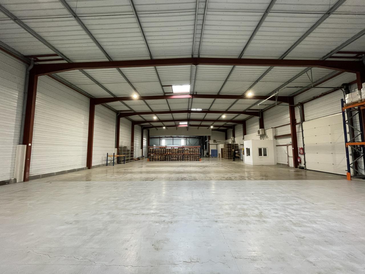 Local d'activité Toulouse 1500m² Location local d'activité Toulouse Haute-Garonne OLACT2531649 16